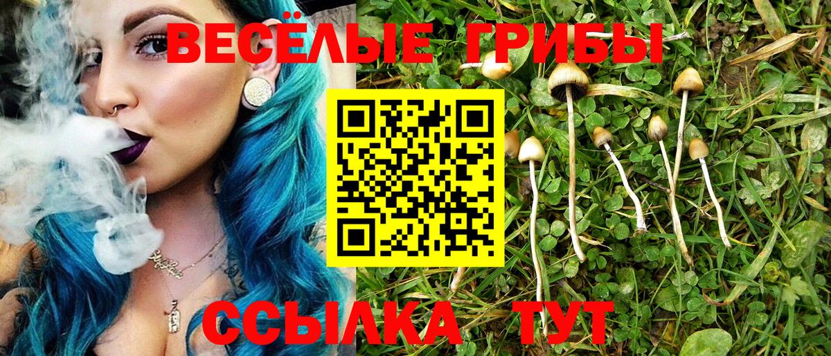 Псилоцибиновые грибы мицелий  Псилоцибиновые грибы GOLDEN TEACHER  Гудермес  Вход с VPN 