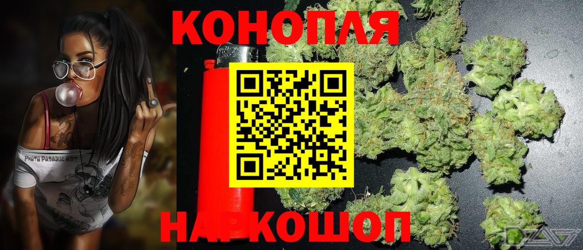 Бошки марихуана Amnesia Гудермес