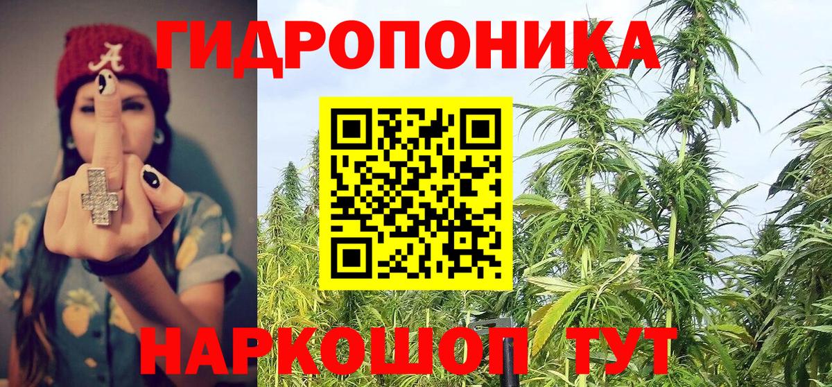 Бошки марихуана семена  Вход с VPN  Канабис MAZAR  Гудермес  МАРИХУАНА White Widow 